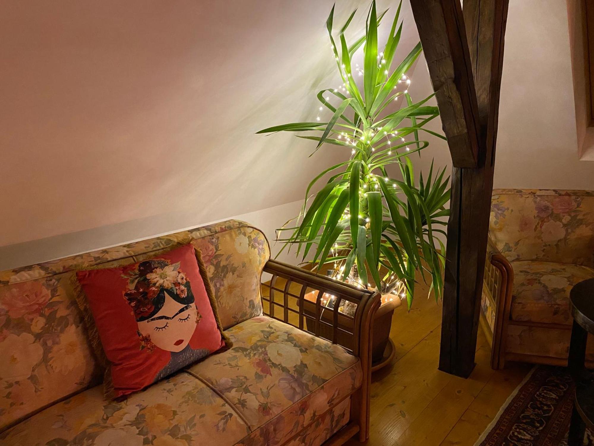Rose'S Oldtown Apartment Μπρασόβ Εξωτερικό φωτογραφία