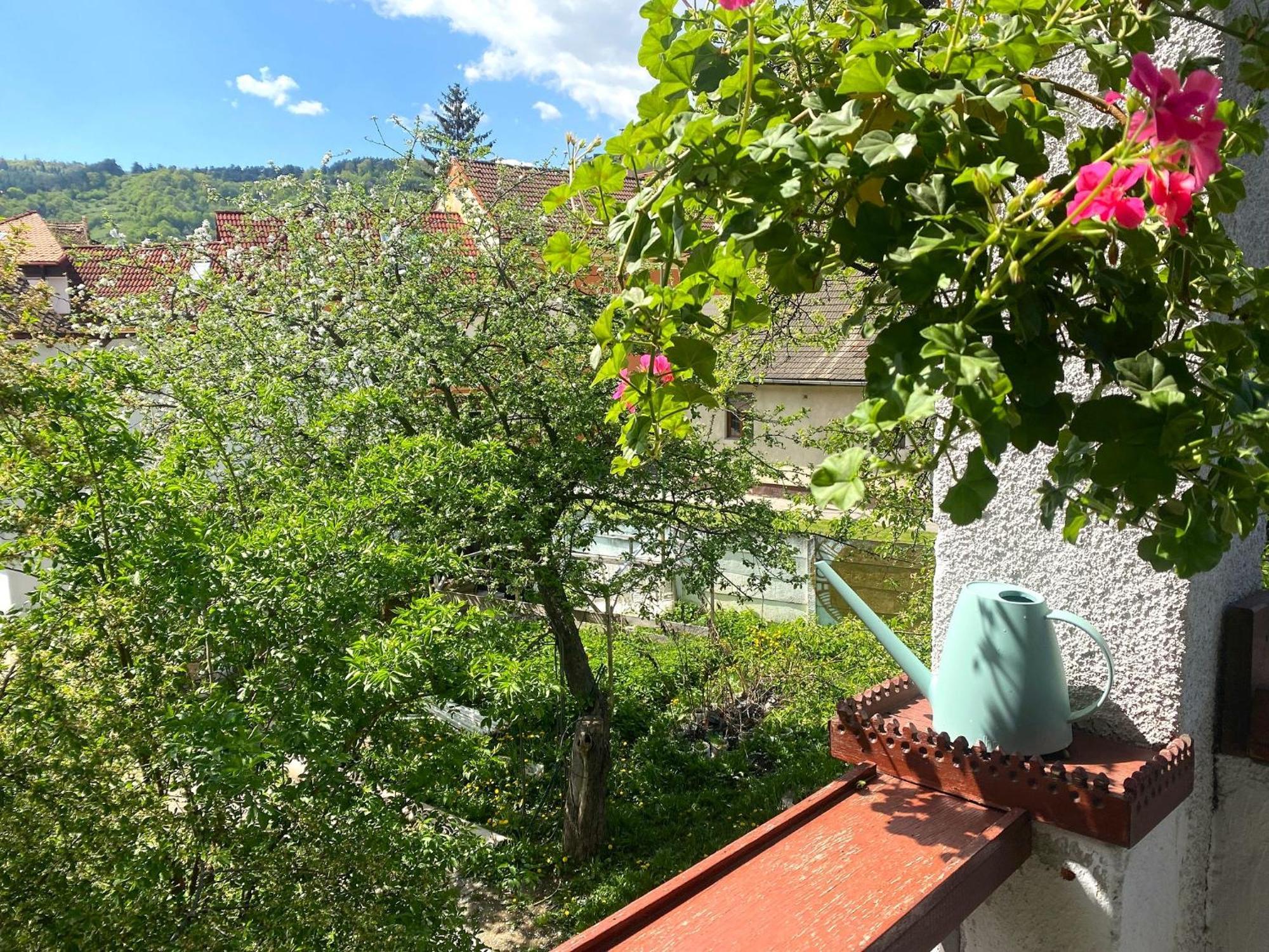 Rose'S Oldtown Apartment Μπρασόβ Εξωτερικό φωτογραφία