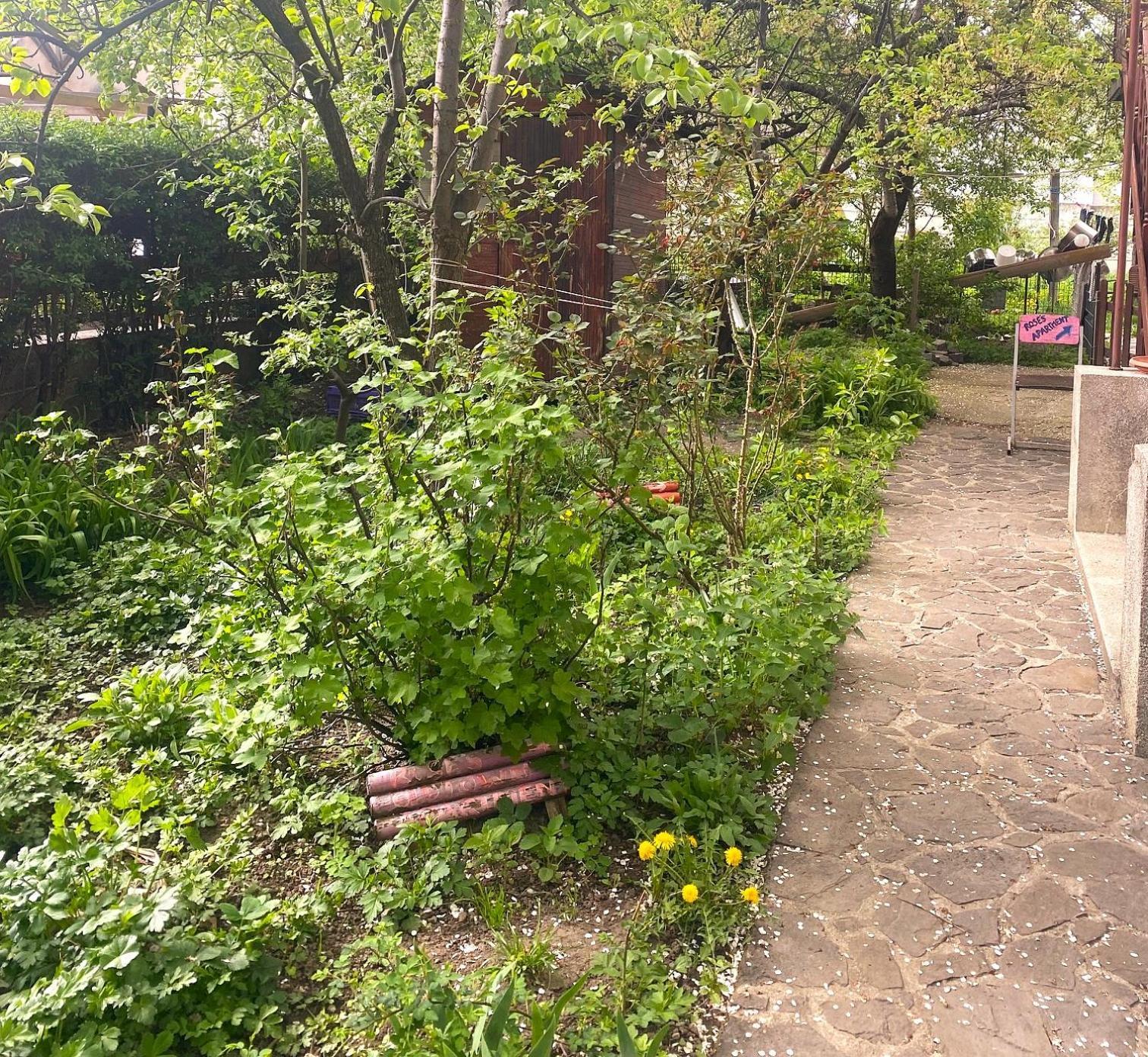 Rose'S Oldtown Apartment Μπρασόβ Εξωτερικό φωτογραφία