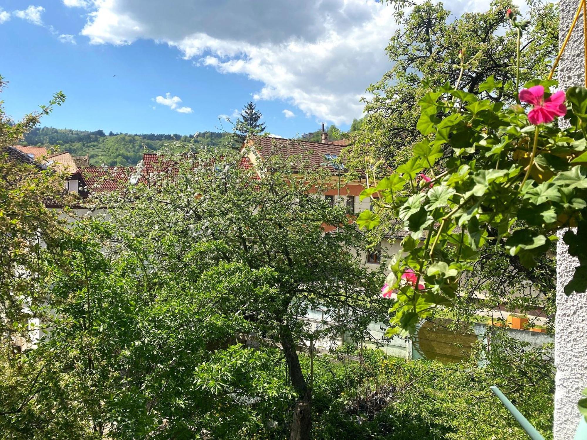 Rose'S Oldtown Apartment Μπρασόβ Εξωτερικό φωτογραφία